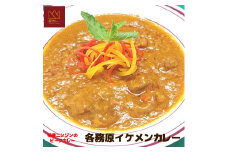 523	各務原イケメンカレー5袋セット