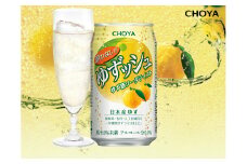 623 CHOYA酔わないゆずッシュ缶 350ML24本