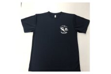 744 F-4EJ 301号機 Tシャツ（岐阜城 尾翼 紺）