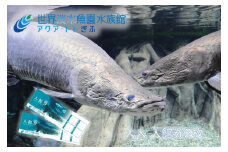 506 世界淡水魚園水族館　アクア・トトぎふ　入館券（大人2枚）