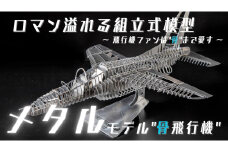 271 組立式模型「メタルモデル”骨飛行機”」