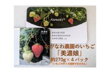 99 ながなわ農園のいちご「美濃娘」約270g×4パック