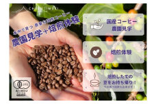 990　コーヒー栽培ハウスの見学＋焙煎体験＋試飲