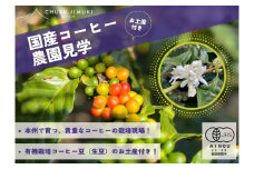 989　有機栽培のコーヒー豆のお土産付き、コーヒー栽培ハウスの見学