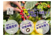 991　コーヒー栽培ハウスの見学＋収穫～焙煎体験＋試飲