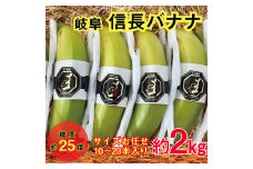 1042 天下布武信長バナナ　約2kg　サイズお任せ　国産　糖度25度前後　無農薬　無添加