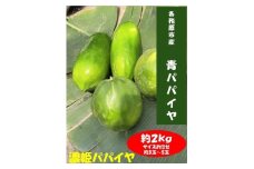 1044 濃姫パパイヤ　約2kg　サイズお任せ　岐阜県産　無農薬　無添加