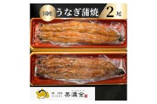 1036 美濃金　神田本店　炭焼　国産うなぎ蒲焼２尾