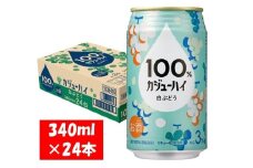 1124 １００％カジューハイ 白ぶどう チューハイ 340ml×24本 １ケース