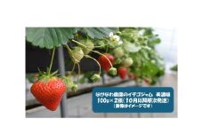 1107 ながなわ農園のいちごジャム　美濃娘　100ｇ×２瓶　数量限定