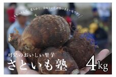 可児のおいしい里芋『さといも塾』【 野菜 土垂れ もちっと 柔らか 煮物 煮っころがし 芋煮 食物繊維 ミネラル カリウム NPO法人 】