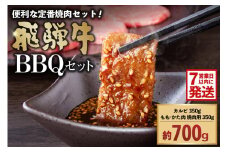 【7営業日以内発送】飛騨牛BBQセット（カルビ350g、もも・かた肉 焼き肉用350g）【岐阜県 可児市 肉 お肉 ブランド ブランド牛 バーベキュー 詰め合わせ お取り寄せ グルメ 】