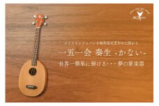 ヤイリギター　一五一会　奏生（アコースティックギター） 【世界のヤイリ Yairi BEGIN ブランド 奏生 弦楽器 楽器 ギター 音楽 ソフトケース アコギ ヤイリ】