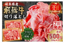  【7営業日以内発送】飛騨牛切り落とし500ｇ（250ｇ×2）【 牛肉 カレー シチュー 牛丼 肉じゃが 牛しぐれ煮 牛すき煮 炒め物 食品 肉 国産 和牛 ブランド牛 ブランド 小分け パック セット 国産牛 お肉 ロース 赤身 バラ ミックス 冷凍 料理 岐阜県 】