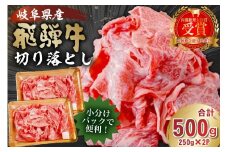 飛騨牛切り落とし500g（250g×2）【 牛肉 カレー シチュー 牛丼 肉じゃが 牛しぐれ煮 牛すき煮 炒め物 食品 肉 国産 和牛 ブランド牛 ブランド 小分け パック セット 国産牛 お肉 ロース 赤身 バラ ミックス 冷凍 料理 岐阜県 】