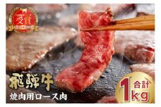 飛騨牛　焼肉用ロース1kg（500g×2）【 岐阜県 可児市 お肉 肉 牛肉 焼き肉 BBQ ロース 和牛 ブランド ブランド牛 国産 岐阜県産 お取り寄せ グルメ 】