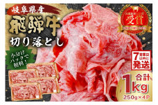  【7営業日以内発送】飛騨牛切り落とし1Kg（250ｇ×4）【 牛肉 カレー シチュー 牛丼 肉じゃが 牛しぐれ煮 炒め物 食品 肉 国産 和牛 ブランド牛 ブランド 小分け パック セット 国産牛 お肉 ロース もも 赤身 バラ ミックス 料理 岐阜県 】