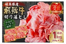 飛騨牛切り落とし1kg（250g×4）【 牛肉 カレー シチュー 牛丼 肉じゃが 牛しぐれ煮 炒め物 食品 肉 国産 和牛 ブランド牛 ブランド 小分け パック セット 国産牛 お肉 ロース もも 赤身 バラ ミックス 料理 岐阜県 】