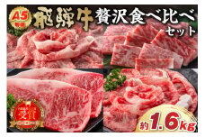 A5等級　飛騨牛贅沢食べ比べセット　定期便 ※4回に分けてのお届けとなります。（サーロインステーキ680g・ロースすき焼き用750g・ロースしゃぶしゃぶ用750g・ロース焼肉用750g）【岐阜県 可児市 サーロイン ステーキ ロース すき焼き しゃぶしゃぶ 焼き肉 ソース付き ブランド牛 和牛 霜降り 肉 牛肉 お取り寄せ グルメ 】