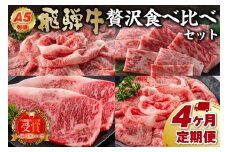 A5等級　飛騨牛贅沢食べ比べセット　定期便 ※4回に分けてのお届けとなります。（サーロインステーキ680g・ロースすき焼き用750g・ロースしゃぶしゃぶ用750g・ロース焼肉用750g）【岐阜県 可児市 サーロイン ステーキ ロース すき焼き しゃぶしゃぶ 焼き肉 ソース付き ブランド牛 和牛 霜降り 肉 牛肉 お取り寄せ グルメ 】