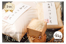 2024年産米　美濃ハツシモ　1等米4kg（2kg×2袋）【米 白米 ごはん 自家精米 歯ごたえ あっさり】