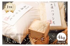 2024年産米　美濃ハツシモ　1等米4kg（2kg×2袋）【米 白米 ごはん 自家精米 歯ごたえ あっさり】