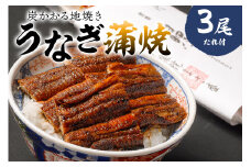 本格炭火焼 うなぎ蒲焼（たれ付き）3尾【 岐阜県 可児市 国産 うなぎ 蒲焼 炭火焼 鰻のたれ 魚介 加工品 冷凍 旬 たまり醤油 氷砂糖 丑の日 お取り寄せ グルメ 】