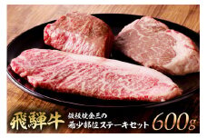 鉄板焼金三の希少部位ステーキセット（飛騨牛のヒレステーキ、サーロインステーキ、赤身のステーキ）【岐阜県 可児市 ヒレ 赤身 ステーキ 肉 サーロイン 牛肉 ブランド牛 国産 食品 セット 食べ比べ】