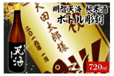A-6　天海 + ボトル彫刻【岐阜県 可児市 酒 日本酒 飲料 地酒 アルコール ボトル彫刻 彫刻 記念品 手作り ギフト プレゼント お祝い】