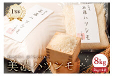 2024年産米　美濃ハツシモ　1等米8kg（2kg×4袋） 【米 白米 ごはん 自家精米 歯ごたえ あっさり】