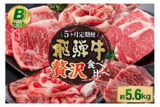 『飛騨牛』贅沢食べ比べセットB　定期便※5回に分けてのお届けとなります。（サーロインステーキ1,080g・ロースすき焼き用1,200g・ロースしゃぶしゃぶ用1,200g・ロース焼肉用1,200g・ヒレステーキ960g）【岐阜県 可児市 サーロイン ステーキ ロース すき焼き しゃぶしゃぶ 焼肉 ヒレステーキ A5等級 ブランド牛 和牛 霜降り お取り寄せ グルメ 】