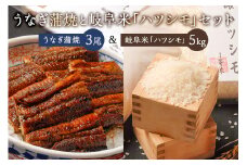「炭かおる地焼き　うなぎ蒲焼（たれ付）3尾」と「2024年産米　岐阜米ハツシモ1等米5ｋｇ」 【セット 鰻 たれ たまり醤油 氷砂糖 継ぎ足し 炭火 米 白米 ごはん 自家精米】