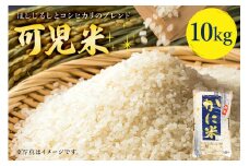 可児米（ほしじるしとコシヒカリのブレンド）　10kg【 お米 米 白米 精米 ブレンド米 ご飯 白飯 おにぎり チャーハン しっかりした粒 食品 朝ご飯 お昼ご飯 夜ご飯 お取り寄せ グルメ 岐阜県 可児市 】