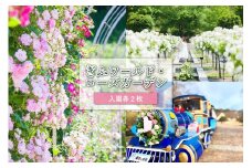 ぎふワールド・ローズガーデン 入園券 2枚【 岐阜県 可児市 世界最大級 バラ園 チケット セット ネモフィラ ひまわり コスモス 花 フラワー バラ ローズ 自然 カフェ ピクニック 鑑賞 自然 リラックス フラワー 】