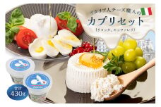 カプリセット ジャパンチーズアワード2022受賞品2種 リコッタ モッツァレラ【 カセイフィーチョ サンフランチェスコ ナチュラルチーズ ジャパンチーズアワード2022 金賞 銅賞 岐阜県 可児市 フレッシュ しぼりたて 高品質 柔らかい クリーム 】