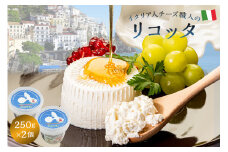 リコッタ Ricotta 250g 2個セット【  カセイフィーチョ サンフランチェスコ ナチュラルチーズ ジャパンチーズアワード2022 金賞 岐阜県 可児市 しぼりたて 高品質 フレッシュ 柔らかい クリーム 食感 ミルク 風味 甘み カンノーリ チーズケーキ 】