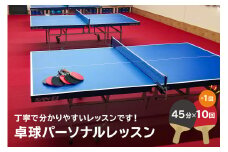 卓球パーソナルレッスン（45分×11回）【岐阜県 可児市 スポーツ レッスン 体験 回数券 パーソナル  初心者 室内 大人 子供 運動 ダイエット】