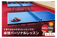 卓球パーソナルレッスン（60分×11回）コーチ１人【岐阜県 可児市 スポーツ レッスン 体験 回数券 パーソナル  初心者 コーチ付き 室内 大人 子供 】