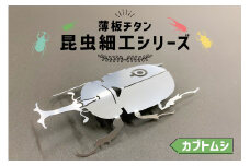 薄板チタン昆虫細工シリーズ（カブトムシ）　【 岐阜県 可児市 高級素材 雑貨 インテリア カブトムシ おしゃれ 綺麗 精密加工 芸術 アート チタン 昆虫細工  芸術  木箱 】