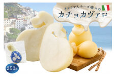 カチョカヴァロ Caciocavallo 250g【 岐阜県 可児市 しぼりたて 高品質 生乳 熟成 セミハードチーズ 優しい食感 ミルク 風味 美食 グリル 野菜 パン キノコ 赤身の肉 お取り寄せ グルメ 】
