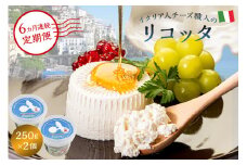 【定期便】リコッタ Ricotta 250g 2個セット(6カ月連続お届け)【岐阜県 可児市 しぼりたて 高品質 生乳 フレッシュ 柔らかい クリーム 食感 ミルク 風味 甘み チーズ】