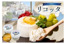 がんばれ中日ドラゴンズ！リコッタ（2022金賞）2個【中日ドラゴンズコラボ】【  岐阜県 可児市 しぼりたて 高品質 フレッシュ 柔らかい クリーム 食感 ミルク 風味 甘み カンノーリ チーズケーキ 】