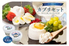がんばれ中日ドラゴンズ！カプリセット（JCA2022金賞・銅賞）【中日ドラゴンズコラボ】【  岐阜県 可児市 チーズ 乳製品 リコッタ モッツァレラ フレッシュ しぼりたて 高品質 お取り寄せ グルメ 】