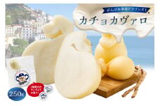 がんばれ中日ドラゴンズ！カチョカヴァロ1個【中日ドラゴンズコラボ】【 岐阜県 可児市 しぼりたて 高品質 生乳 熟成 セミハードチーズ 優しい食感 ミルク 風味 美食 グリル 野菜 パン キノコ 赤身の肉 お取り寄せ グルメ 】