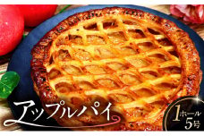 アップルパイ 【洋菓子 りんご スイーツ ケーキ デザート おやつ 焼き菓子】
