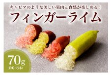 フィンガーライム　70g【 果物 果実 新時代フルーツ 国産 キャビアライム 森のキャビア フルーツキャビア ブッシュキャビア 希少 柑橘 カルパッチョ ローストビーフ アイス カクテル 炭酸 トッピング 】