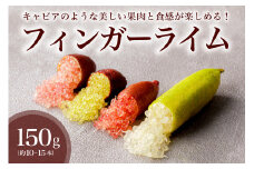 フィンガーライム　150g【 果物 果実 新時代フルーツ 国産 キャビアライム 森のキャビア フルーツキャビア ブッシュキャビア 希少 柑橘 カルパッチョ ローストビーフ アイス カクテル 炭酸 トッピング 】