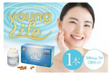 ヤングライフ（サプリメント）120粒【 サプリメント ヒアルロン酸  タンパク質 鶏 トサカ 健康 食品 健康食品 アダプトゲン製薬 】