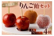 【先行受付】AERIりんご飴セット：人気フレーバー４種 【りんご りんご飴 人気 フルーツ フレーバー プレーン 紅茶 シナモン ココナッツ スイーツ】