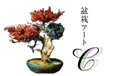 盆栽アート【C】 【盆栽 アート 伝統文化 インテリア ディスプレイ 再生 植物】
